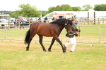 SBM_04308