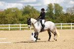 SBM_000555