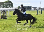 BPP_1291