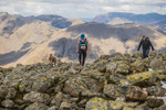 Eskdale Elevation-481