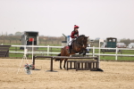 SBM_002294