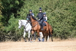 WJ6_8328