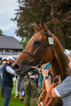 250823-Race 5-Reach-0929