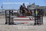 BPP_8244