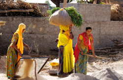 Road workers, Chatra Sagar