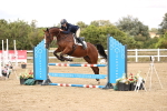 SBM_008442