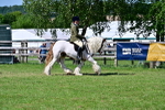 SBM_19351