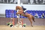 SBM_001585