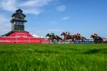 130826-Race 4-Shazani-5295