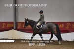 BPP_1820