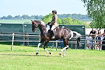 SBM_12235