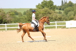 SBM_010082
