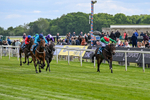 150526-Race 4-Love A Giggle-7725
