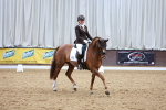 SBM_003033