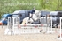 BPP_3532