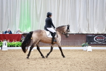 SBM_013260