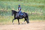 WJ7_8133