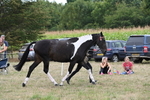 WJ6_5649