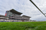 Race 4 3.35pm Pertemps Network Yorkshire Oaks portfolio