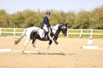 SBM_007959