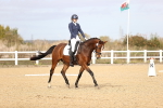 SBM_010331