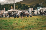 DSCF7275