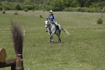 BVHT 140517  IXC -517