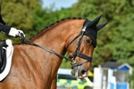 437-KEC_DEAKON-Aaron_Millar-DR portfolio