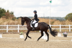 SBM_010810_Class 17 - E6
