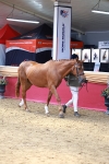 SBM_04080