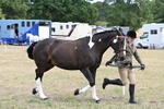WJ6_5862