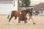 SBM_02065