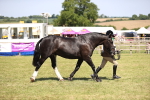 SBM_17929