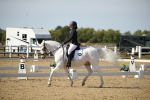 SBM_004229