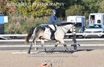 BPP_8272
