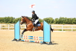 SBM_000798