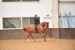 Class 33 - SSADL Ridden Championships portfolio