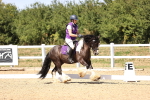 SBM_012320_Novice 5 - 1305-1436
