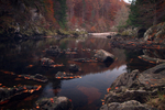 A river runs through it