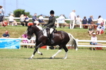 3E7A8917