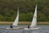 Laser Dinghy Racing