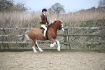 SBM_006092