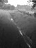 Ditch & Crooked Fence (b&w)