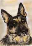 Kahlua
