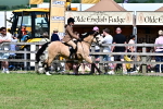 SBM_07980