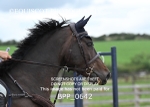 BPP_0642