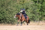 WJ6_7525