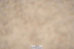 230924A-143734-06504