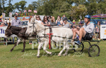 Donkey Derby_2016-18