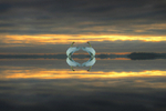 Love, Lake Ree, County Roscommon, Ireland.